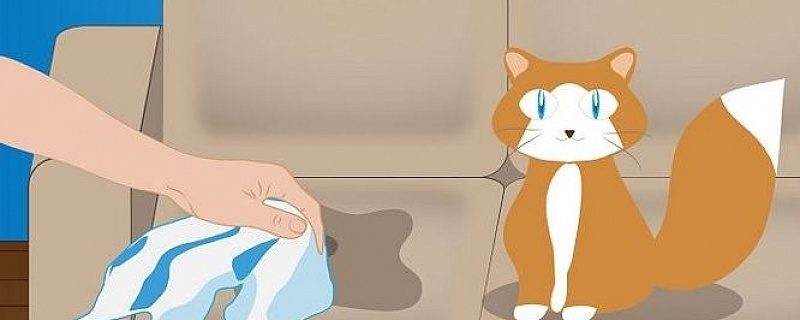 Удаление запаха кошачьей мочи с дивана — важные советы, которые помогут сразу!