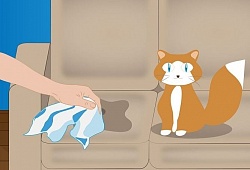 Удаление запаха кошачьей мочи с дивана — важные советы, которые помогут сразу!