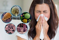 Помощь при аллергии на домашнюю пыль: объявляем войну клещам