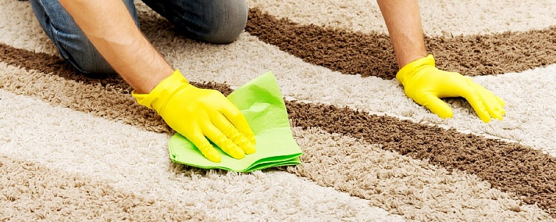 Советы экспертов Eco-Hyla по выбору лучшего метода очистки ковров.