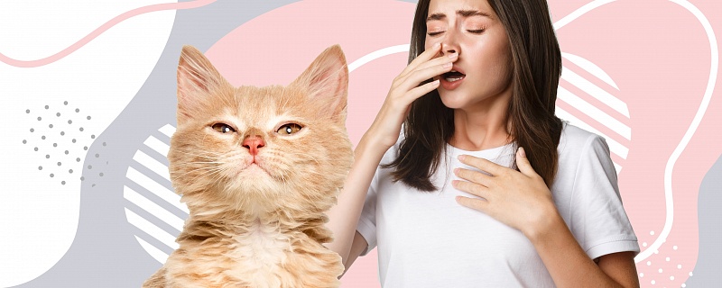 Жизнь с аллергией на домашних животных