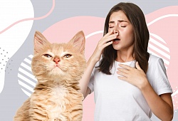 Жизнь с аллергией на домашних животных