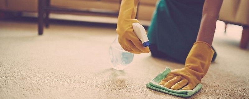 Что можно делать, чтобы ковры оставались чистыми