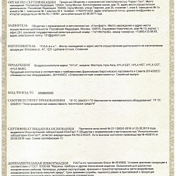 Таможенный сертификат соответствия HYLA Воздухоочистители
